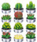 Ejoyous Bougies Succulentes Cactus, 12 Pcs Bougies Chauffe-Plat Succulentes Délicates Ensemble pour La Fête De Mariage Spa Décoration De La Maison Cadeaux Bougies De Plantes pour Une
