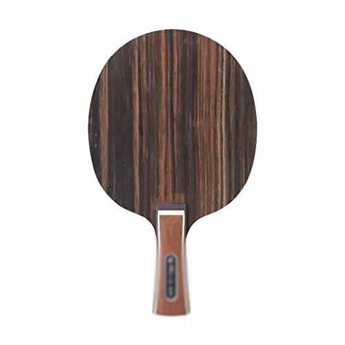 Defensives Tischtennisschläger, lang, Shakehand, FL, kurz, Penhold, CS, Ping-Pong-Schläger, Paddelschläger, Schnellangriff, Offensive (Farbe: Argento)