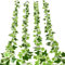 4 Pezzo Edera Artificiale Ghirlanda, Edera Finta Pianta Artificiale, Ghirlande Artificiali di Edera, Adatto per l'Ufficio, la Cucina, il Giardino, la Decorazione Della Parete Della Festa di Nozze