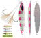 OCEAN CAT 1 PC Lead Metal Flat Slow Fall Pitch Fishing Jigs Lures Sinking Vertical Jigging Bait with Butterfly Hook for Saltwater Fishing (Glow Red, 250g)