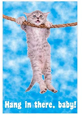LOKODO Hang in There Retro Leinwand-Poster, Motiv: Baby-Katze, Wandkunst, Deko, Bild, Gemälde für Wohnzimmer, Schlafzimmer, Dekoration, 30 x 45 cm, ohne Rahmen:
