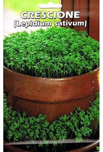 Vivai Le Georgiche Crescione (Lepidium Sativum) (Semente)