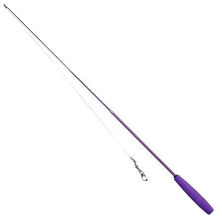 DONGKER Einziehbare Katzenangel, Skalierbare Stangen, Interaktiver Teaser-Zauberstab, Angelrute Spielzeug für Kätzchen, Reduziert Langeweile