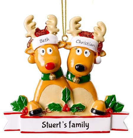 witfox Personalised Christmas Ornaments with 2/3/4/5/6/7/8 Family Names - 2024 Resin personalised hand-painted christmas tree decorations baubles for Family, Partners, Friends 2