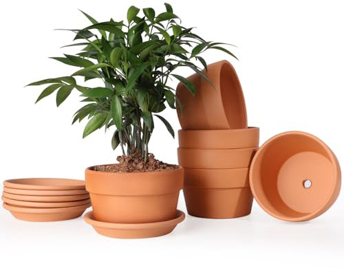 INGOFIN Terrakotta-Töpfe Blumentöpfe mit Untersetzer, flach, 12,7 cm, Keramik-Tontöpfe mit Ablaufloch, für Pflanzen für Innen- und Außenbereich, 6 Stück