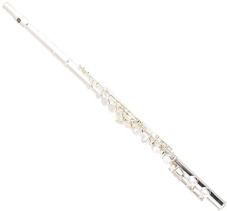 Querflöte Linkshänderflöte. Rückhandflöte. Instrument. Linkshänder. 16 Löcher. Geschlossenes Loch. Versilbert