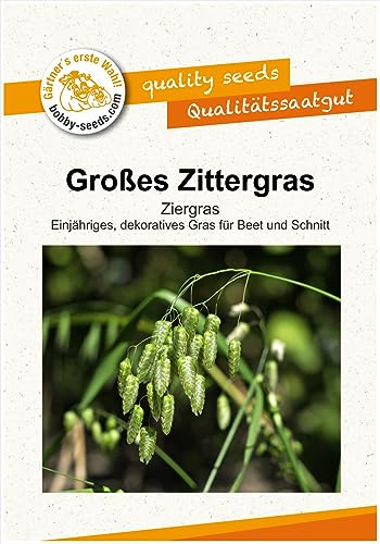 Blumensamen Großes Zittergras Briza Portion