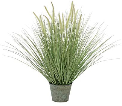 EUROPALMS Ziergras, blühend, künstlich, 70cm