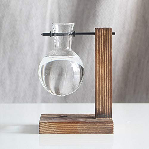 NZXVSE Terrarium pour plantes avec support en bois, vase en verre transparent avec support en bois rétro, terrarium pour plantes aquatiques d'intérieur