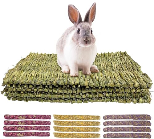 HTRTRR Lot de 4 alfombras de hierba de conejo tejidas a mano, juguetes naturales comestibles para masticar, alfombras para masticar de tela natural, para animales pequeños, palitos de arcilla para