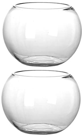 BESPORTBLE 2pièces Terrarium Verre Contenants pour Plantes Terrarium DIY Bouteille Écologique pour Facile à Utiliser