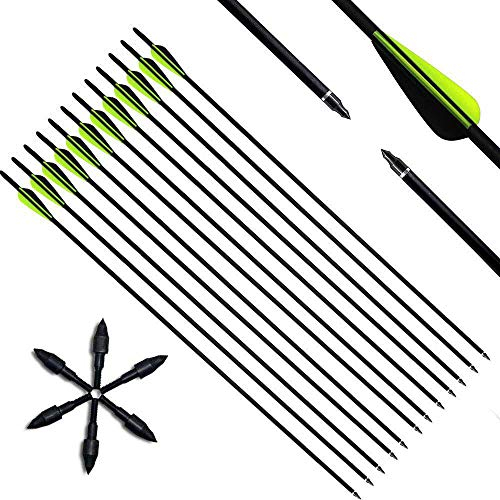 Deweey Pfeile Carbon, 31 Zoll Bogenpfeile für Bogenschießen mit Kunststoffbefiederung, Jagdpfeile für Bogen, Traditionellen Bogen, Recurvebogen und Langbogen, 12er Set