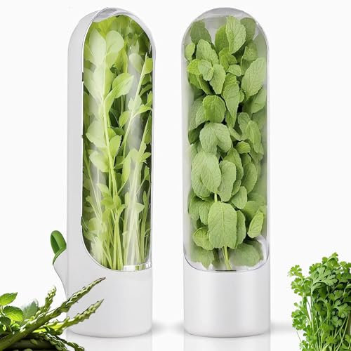 HVECT Lot de 2 boîtes de conservation d'herbes pour réfrigérateur, conservation des herbes fraîches pour coriandre, persil, asperges, menthe, conserve les légumes pendant 2 à 3 semaines