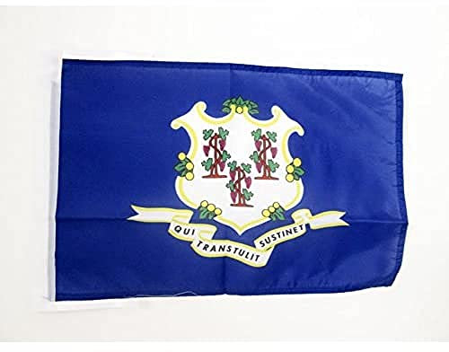 AZ FLAG - Flagge Connecticut - 45x30 cm Mit Kordel - Bundesstaat Connecticut Fahne 30 x 45 Cm - Flaggen