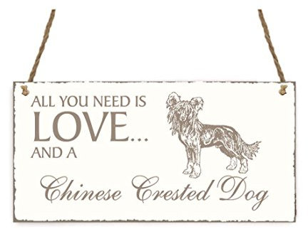 Sign with 'Bitte nicht stören' All You Need Is Love And A Chinese Crested Dog Chinese Crested Dog Shabby Vintage Wooden Door Sign