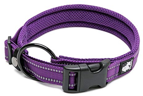 WINHYEPET True Love Dog Collar Reflective Sandwich lining Nylon Webbing Comfortable and Safe Adjustable Buckle convenient used for walking for Samll/Medium/Large neck ring TLC5011(Purple,L)