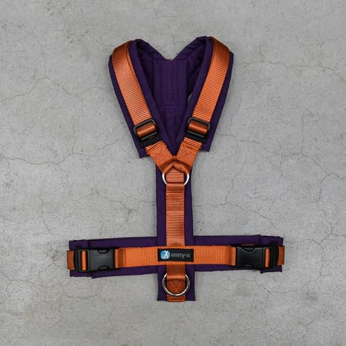 Anny-X Brustgeschirr Fun | Limited Edition Pflaume trifft Zimt | Hundegeschirr Größe M (Brustumfang 62-74 cm)