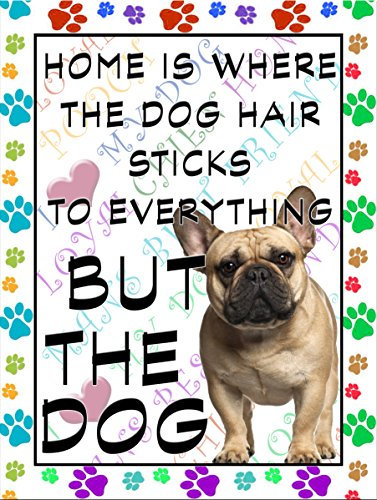 Shawprint French Bulldog Dog Fridge Magnet 100mm x 75mm HOME IS WHERE THE DOG HAIR STICKS TO EVERYTHING BUT THE DOG
