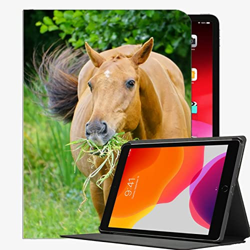 Für iPad Pro 12,9 cl