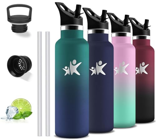 Gourde Isotherme, 750 ml Gourde Paille, Gourde Inox, Anti Fuite, Gourde Metal, Double Isolation, Gourde Sport, Avec Poignée, Gourde sans Bpa, Bouteille d'eau pour Randonnée, Camping, Voyage, Aptitude