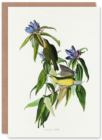 Artery8 John James Audubon Art Card Connecticut Warbler Bird