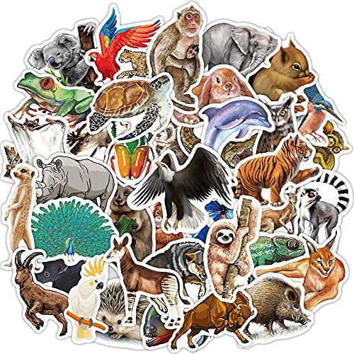 magi gift 80 Pcs Funny Rainforest Animal Vinyl Stickers for Kids Teachers Students Zoo Waterproof Water Bottle Laptop Scrapbook Binders Skateboard Bike Car School Supplies Party Favors
