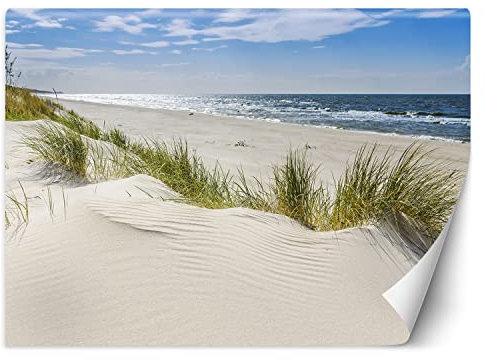 Feeby Papier Peint Intissé Sable Dunes Plage 300x210 cm beige XXL Moderne Décoration Murale Tableaux Muraux Tapisserie Salon Chambre à coucher Vagues Mer Le ciel