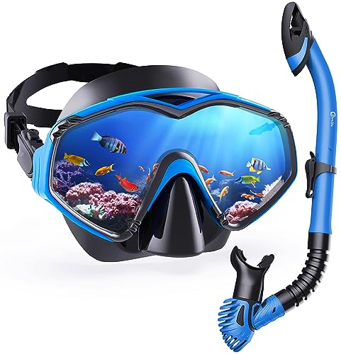 Dorlle Schnorchelset Erwachsene mit Premium Dry Schnorchel und Gehärtetes Glas Taucherbrille, 180° Panorama & Anti-Fog & Anti-Leck schnorchelmaske für Schnorcheln und Schwimmen mit Tragetasche