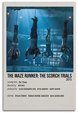 The Maze Runner Film-Leinwand-Poster, Raumdekoration, ästhetisches Poster, künstlerisches Poster für Schlafzimmer, Wohnzimmer, Wände, 30 x 45 cm, ungerahmt