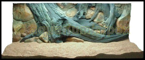 3D Rückwand 120x50 Aquariumrückwand Amazonas