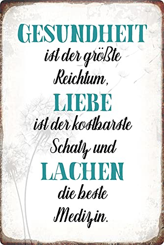 Metall Schild 20x30cm Gesundheit Liebe Lachen Spruch Sprüche Blechschild