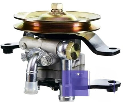 Pompe de direction assistée hydraulique avec poulie, compatible avec Nissan Terrano II Diesel 1996-2011 491105T100 491102S600 4911030N00