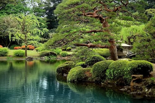 Buohwiwe Papier Peint Panoramique Jardin Mural 450x315 cm 3D Papier Peint Intisse Paysage Naturel Fresque Murale Chambre Coucher Salon Décoration Photo Poster Geant Murale q7710