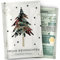valeaf Blaufichte Weihnachtsbaum Samen I Weihnachtsbaum züchten Saat I Wichtelgeschenk Weihnachten Saatgut I Adventskalender Füllung Erwachsene Adventskalender Füllung Ideen I Dein Christbaum 2029