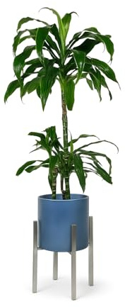 NAMOR Minimalistischer Blumenständer aus Edelstahl | Handgefertigter Pflanzenständer für drinnen & draußen | Elegantes Design mit Bodenschonern Edelstahlprodukte