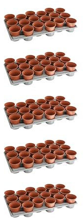 Thompson & Morgan Garden Durable Shuttle Trays 18 Pots per Tray: Simplify Plant Transport, Reusable for Seedlings and Plug Growth 90 Pots 5 Trays (95)