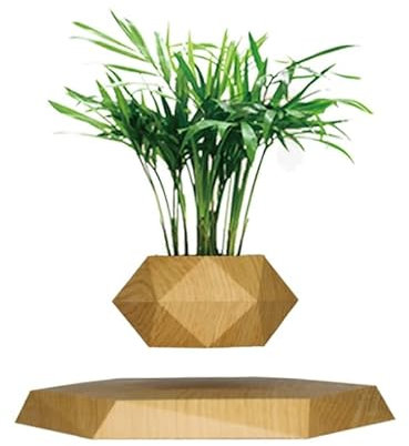 Pot de fleurs flottant magnétique en bois | Pot de fleurs en lévitation pour plantes grasses et plantes grasses | Décoration unique pour la maison et le bureau | Présentoir élégant en marbre (marron)