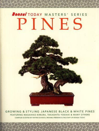 Pines : Growing and Styling Japanese Black and White Pines