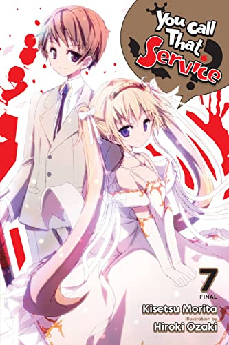 You Call That Service?, Vol. 7 (light novel) (Volume 7)