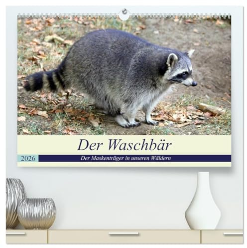 Der Waschbär - Der Maskenträger in unseren Wäldern (hochwertiger Premium Wandkalender 2026 DIN A2 quer), Kunstdruck in Hochglanz: Der nachtaktive ... Wäldern weit verbreitet. (CALVENDO Tiere)