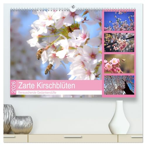 Zarte Kirschblüten - Berauschende Gedankendüfte (hochwertiger Premium Wandkalender 2026 DIN A2 quer), Kunstdruck in Hochglanz: Lichtvolle Momente zur Kirschblütenzeit (CALVENDO Natur)