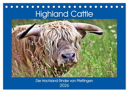 Highland Cattle, die Hochlandrinder aus Pfeffingen (Tischkalender 2026 DIN A5 quer), CALVENDO Monatskalender: Urige Rinder auf der Weide (CALVENDO Tiere)