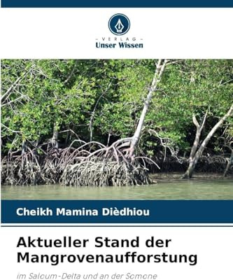 Aktueller Stand der Mangrovenaufforstung: im Saloum-Delta und an der Somone