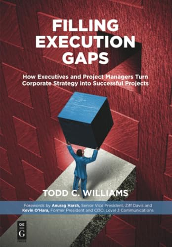 Filling Execution Gaps: How Executives and Project Managers Turn Corporate Strategy into Successful Projects