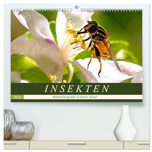INSEKTEN - Makrofotografie in freier Natur (hochwertiger Premium Wandkalender 2026 DIN A2 quer), Kunstdruck in Hochglanz: Es summt und brummt: Bienen, ... Käfer und Schmetterlinge (CALVENDO Tiere)