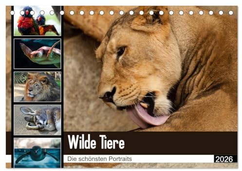 Wilde Tiere - Die schönsten Portraits (Tischkalender 2026 DIN A5 quer), CALVENDO Monatskalender: Die schönsten Tierportaits für das ganze Jahr (CALVENDO Tiere)