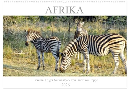 Afrika - Tiere im Krüger Nationalpark (Wandkalender 2026 DIN A2 quer), CALVENDO Monatskalender: Eine Safari durch die afrikanische Tierwelt. (CALVENDO Tiere)