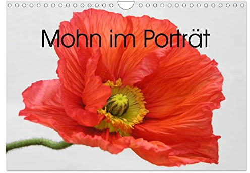Mohn im Porträt (Wandkalender 2026 DIN A4 quer), CALVENDO Monatskalender: 1 Jahr lang Mohnblüten-Genuss (CALVENDO Natur)