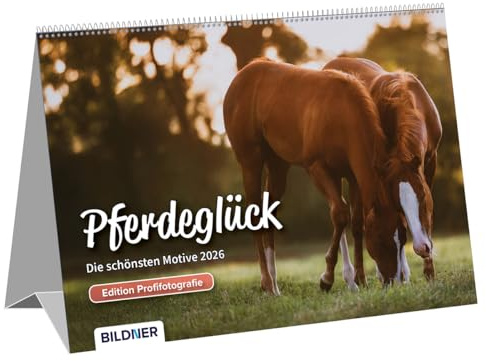 Pferde Kalender 2026 Pferdeglück! Die schönsten Pferdemotive und Aufnahmen 2026: Tischkalender mit Wire-O-Bindung und auffaltbarer Stütze ... / Pferdekalender – Edition Profifotografie