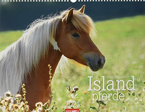 Islandpferde Kalender 2021
